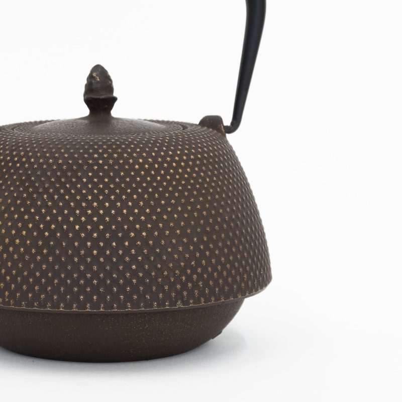 nanbu tekki cast iron teapot with strainer arare 197221