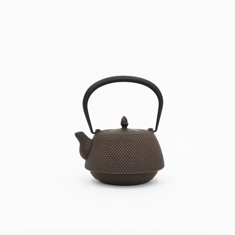 Nanbu Tekki Cast Iron Teapot with Strainer - Arare | Tortoise General Store