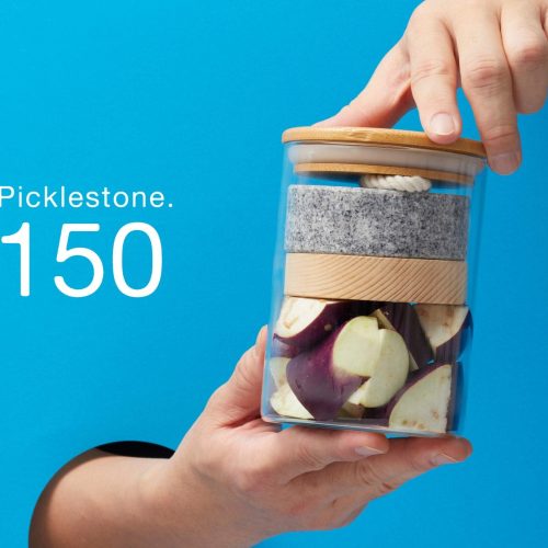 Picklestone - Preorder | Tortoise General Store