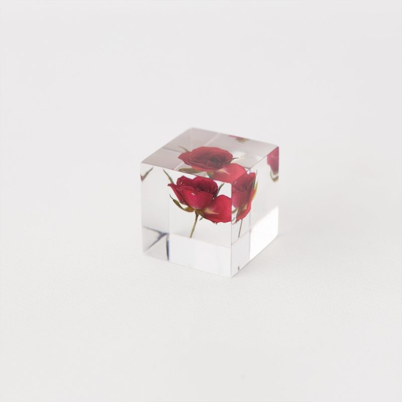 sola cubes rose limited edition 389121