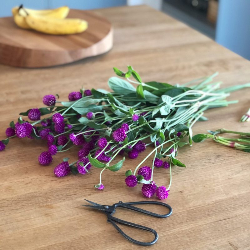 tajika flower scissors 602918