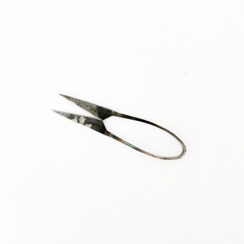 tajika herb scissors 992848